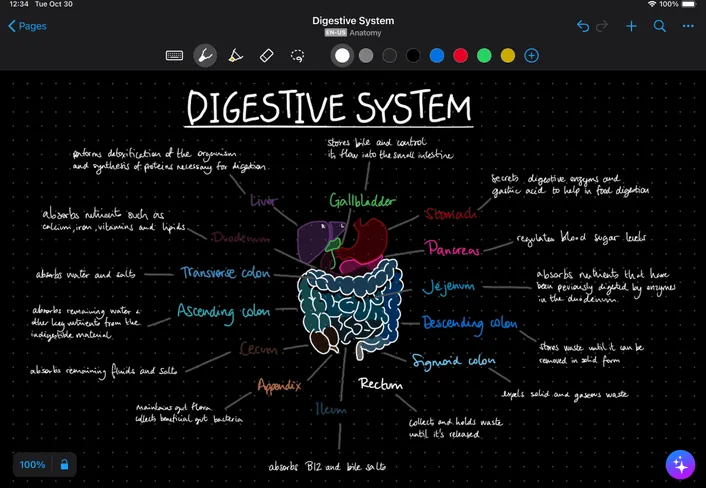 MyScript Notes whiteboard mode